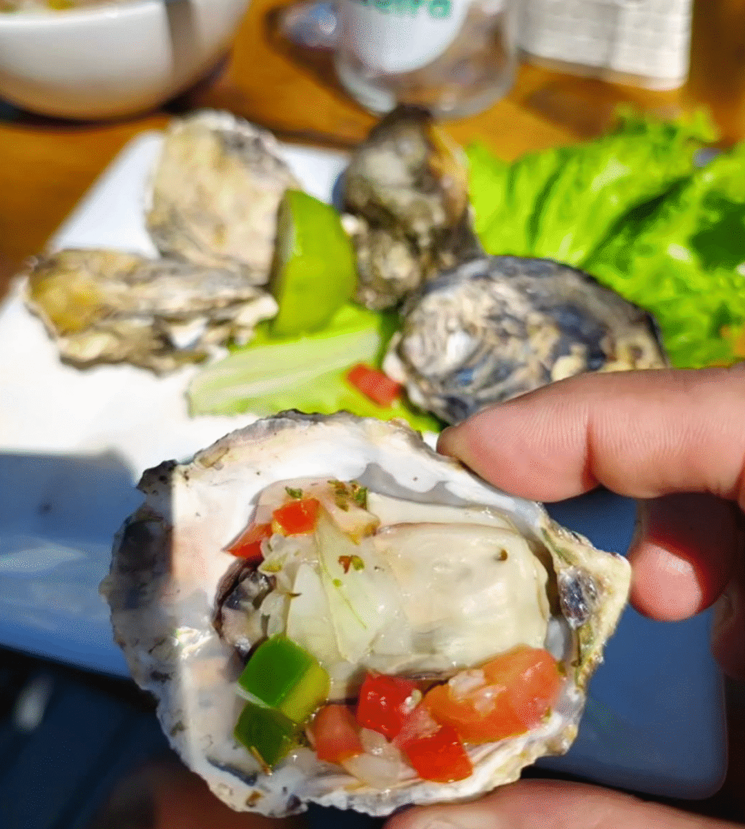 Sabores da Tradição no Restaurante do Índio – Costa da Lagoa!
