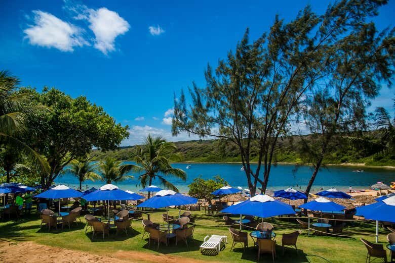 Cajueiro Gigante, Lagoa de Arituba e Praias do Litoral Sul de Natal!