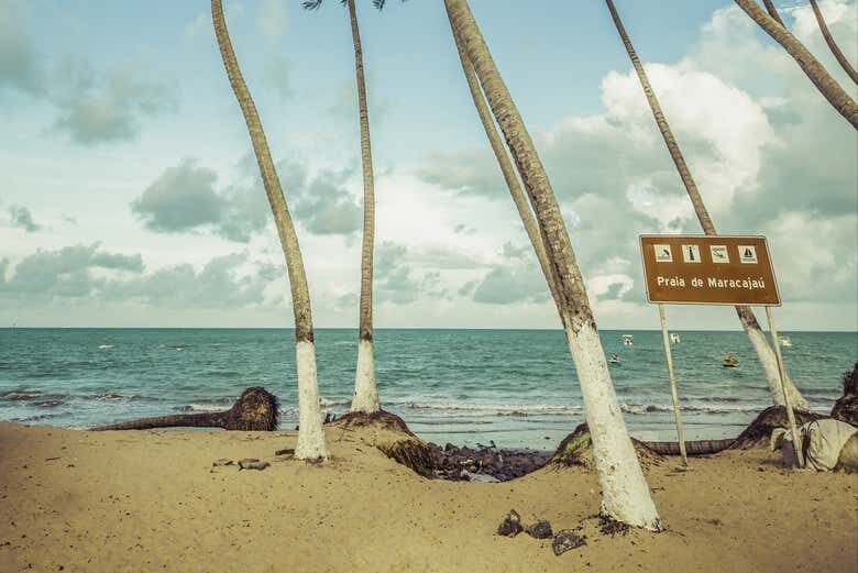 Maracajaú: Snorkel nos Parrachos do Caribe Brasileiro saindo de Natal!