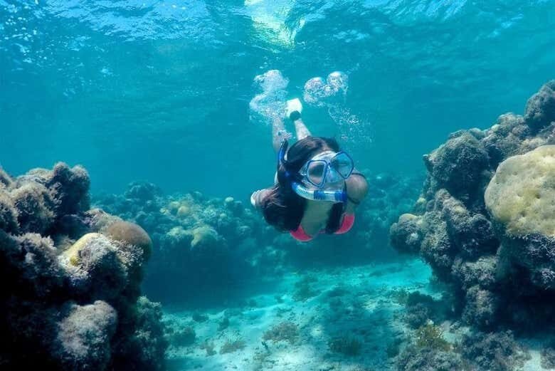 Maracajaú: Snorkel nos Parrachos do Caribe Brasileiro saindo de Natal!