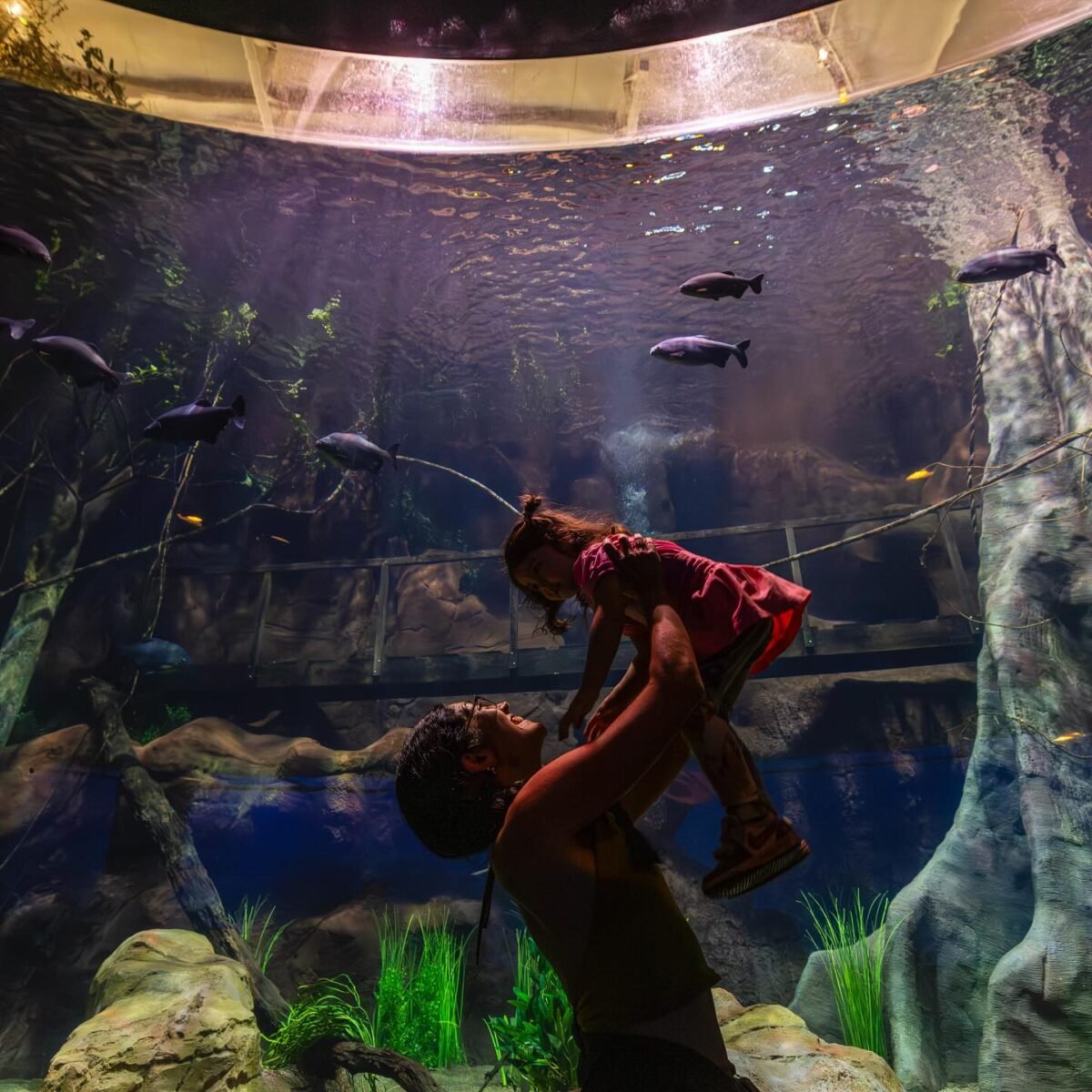 Mergulho no Mundo Subaquático do AquaFoz: Uma Experiência Imersiva em Foz do Iguaçu!